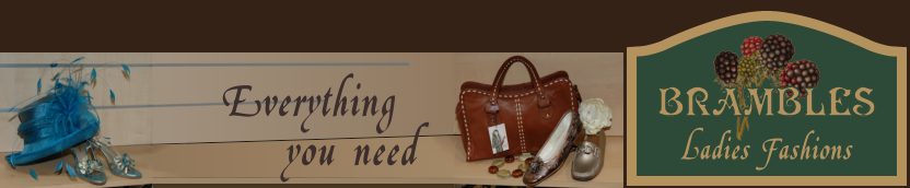 Brambles Ladies Fasions logo